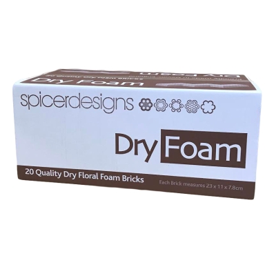 Bricks Dry Foam (x20)