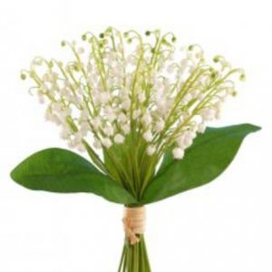 Lily of the Valley Bunch