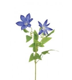 Clematis Spray Blue