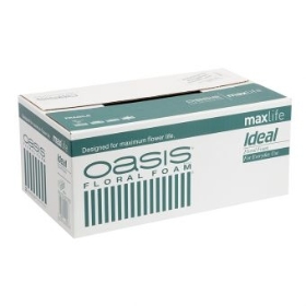Oasis Ideal Maxilife Floral Foam Bricks (x20)