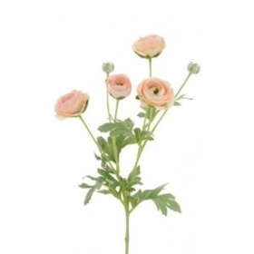 Ranunculus Spray Peach