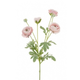 Ranunculus Spray Pink