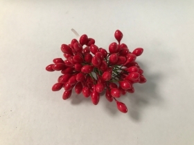 Red Double Ended Berries